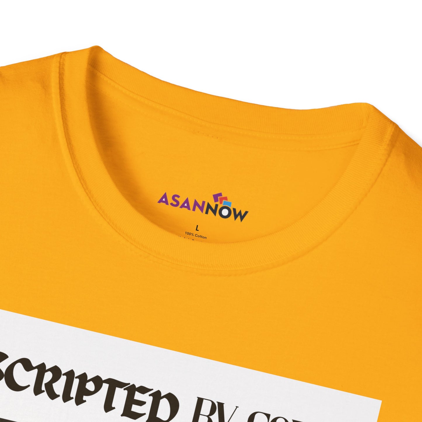 SCRIPTED BY GOD - Unisex Softstyle T-Shirt